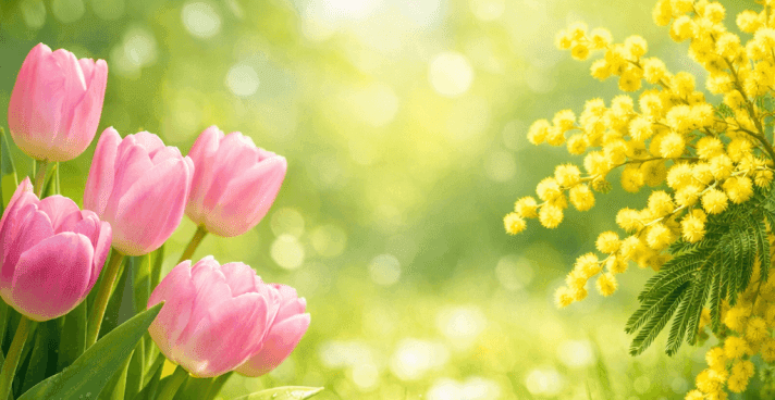 Поздравление с 8 Марта от SIGNAL Поздравление с 8 Марта от SIGNAL